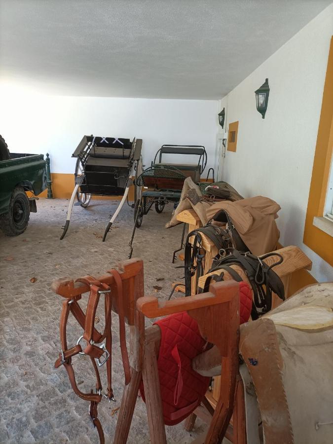 Family House Cup- Quinta Pinheirinhas Holiday home *